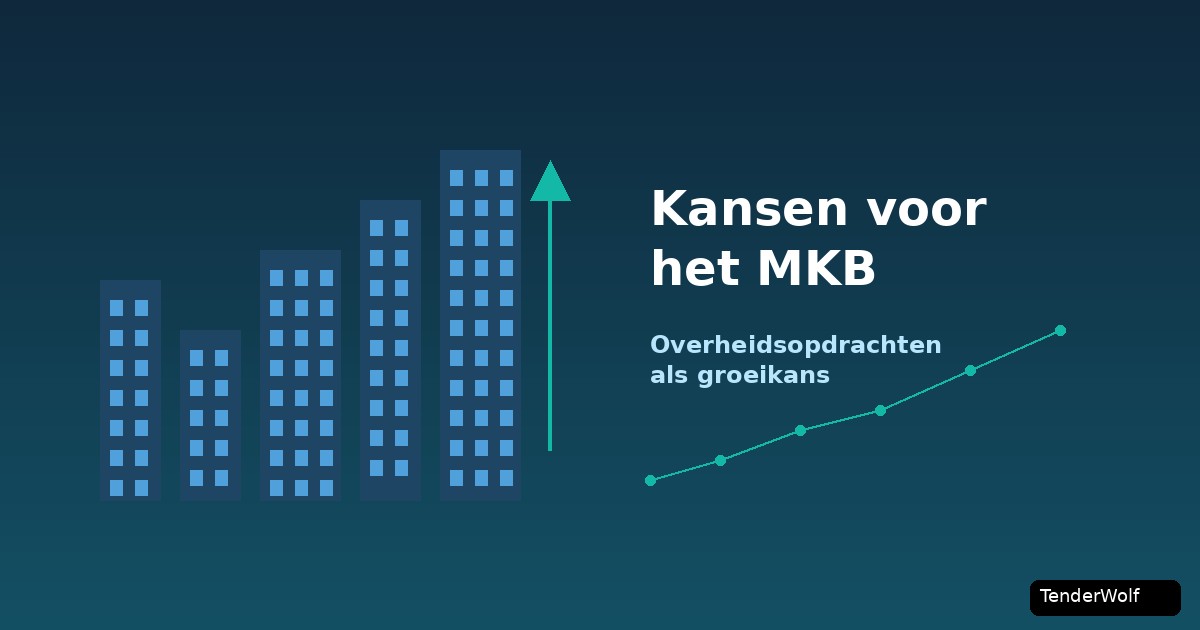 Ondernemer bekijkt groeikansen bij overheidsopdrachten